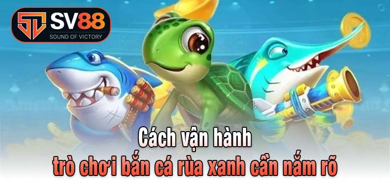 Cách vận hành trò chơi bắn cá rùa xanh cần nắm rõ