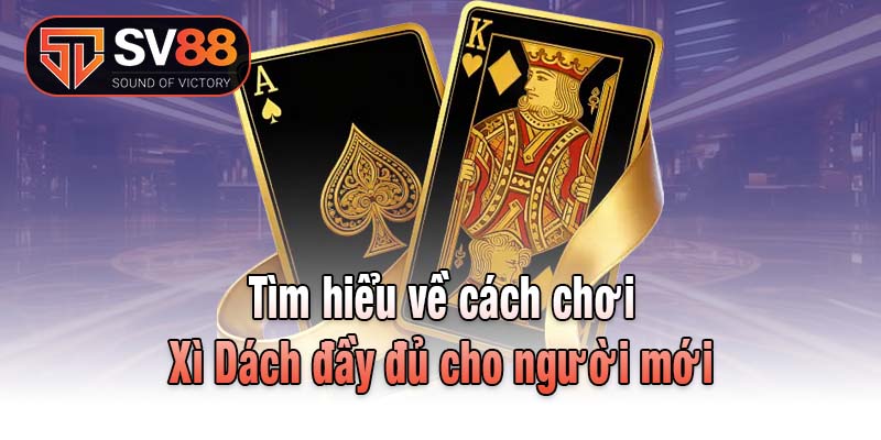 Tìm hiểu về cách chơi Xì Dách đầy đủ cho người mới
