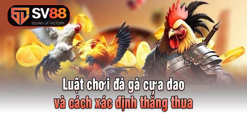 Luật chơi đá gà cựa dao và cách xác định thắng thua