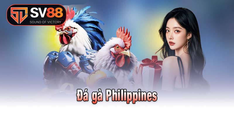 Đá gà Philippines