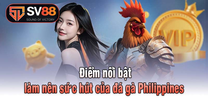 Điểm nổi bật làm nên sức hút của đá gà Philippines 