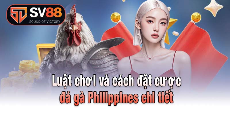 Luật chơi và cách đặt cược đá gà Philippines chi tiế