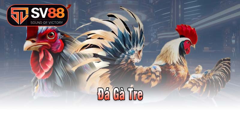 Đá Gà Tre