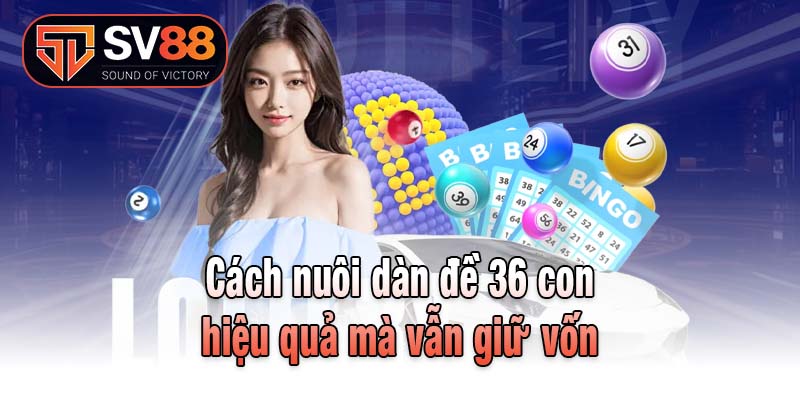Cách nuôi dàn đề 36 con hiệu quả mà vẫn giữ vốn