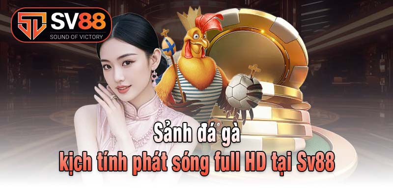 Sảnh đá gà kịch tính phát sóng full HD tại Sv88